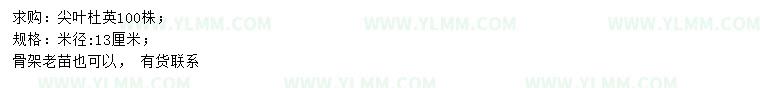 求购米径13公分尖叶杜英