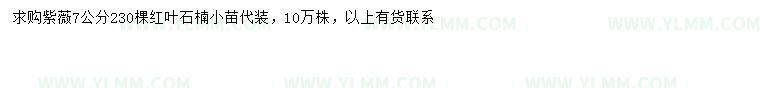 求購7公分紫薇、紅葉石楠小苗