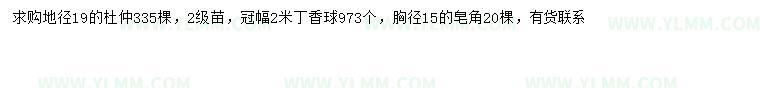 求購杜仲、丁香球、皂角