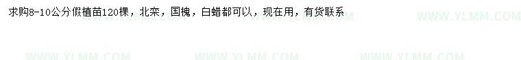 求購北栾、國槐、白蠟