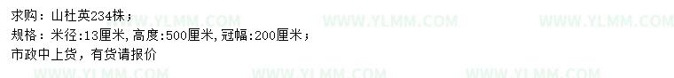 求购米径13公分山杜英