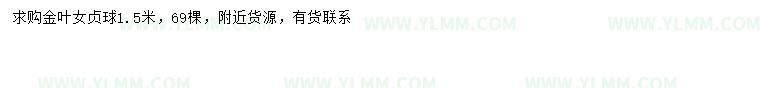 求購1.5米金葉女貞球