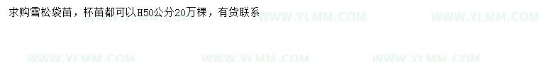 求购高50公分雪松