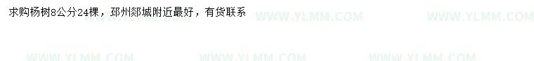 求購8公分楊樹