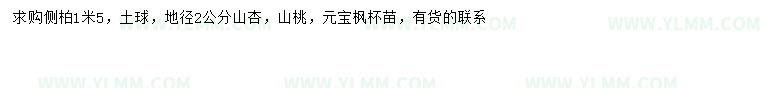 求購側柏、山杏、山桃等