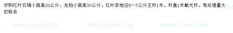 求购红叶石楠小苗、龙柏小苗、红叶李