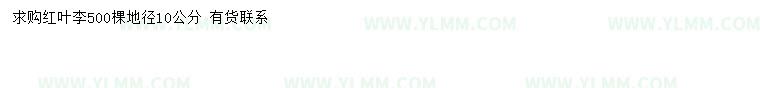 求购地径10公分红叶李