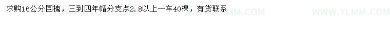 求購16公分國槐