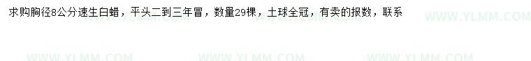 求購胸徑8公分速生白蠟