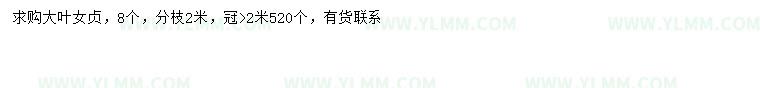 求购8公分大叶女贞