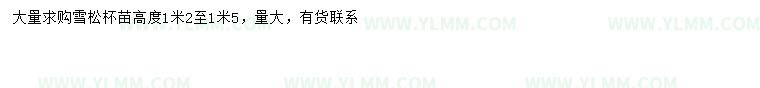 求购高1.2-1.5米雪松