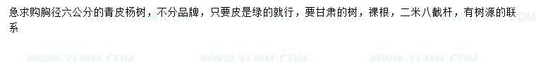 求購胸徑6公分青皮楊樹