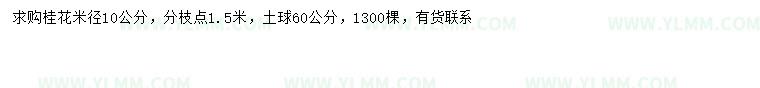 求购米径10公分桂花