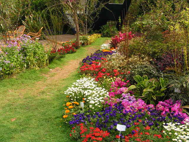 信和花木基地