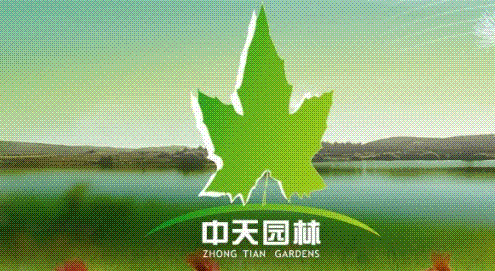 宿迁中天花木专业合作社