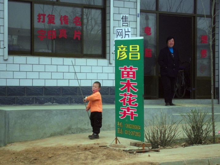 河北省定州市大辛庄镇西四旺苗木花卉基地