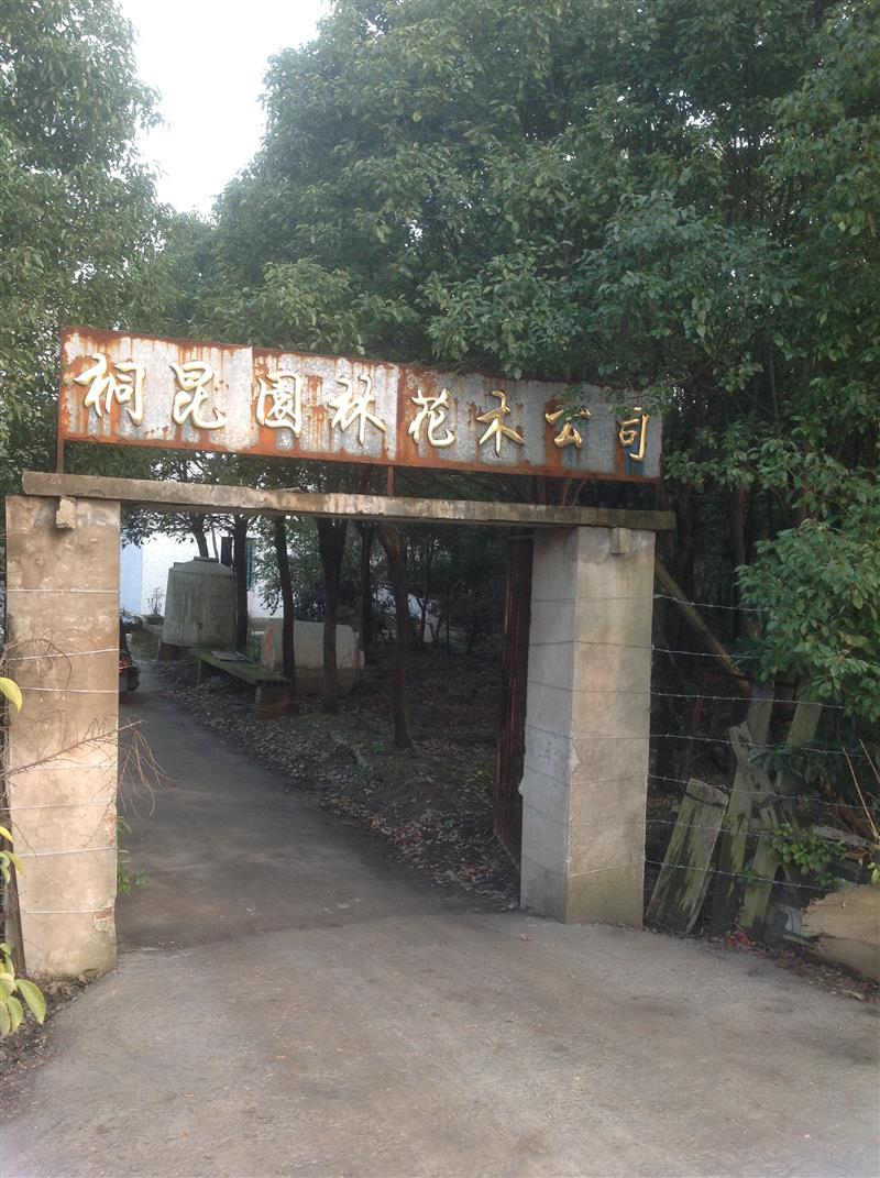 桐鄉市桐州園林花木場