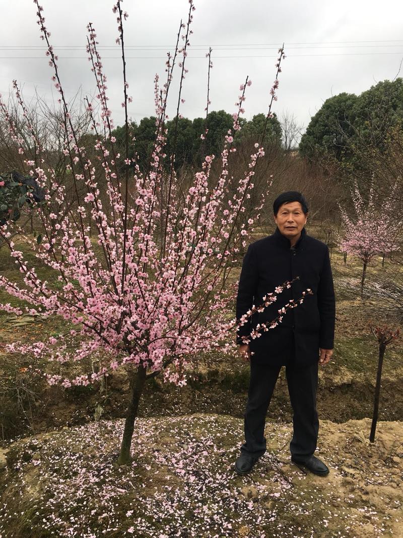 嵊州市棠头溪吴氏苗木种植基地