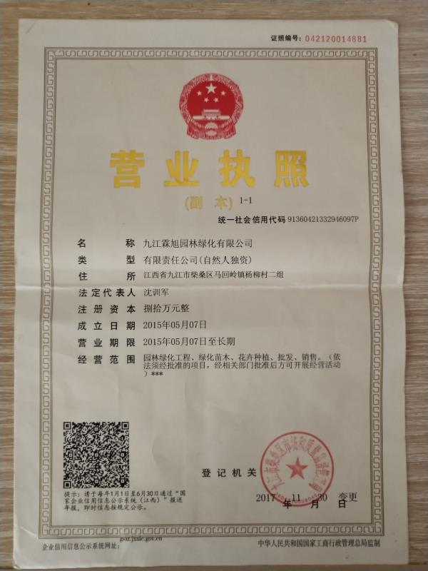 九江霖旭园林绿化有限公司