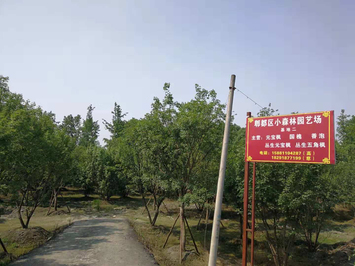 郫都区小树芽园艺场