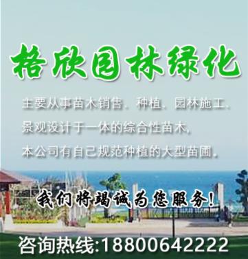 沭阳格欣园林绿化工程有限公司