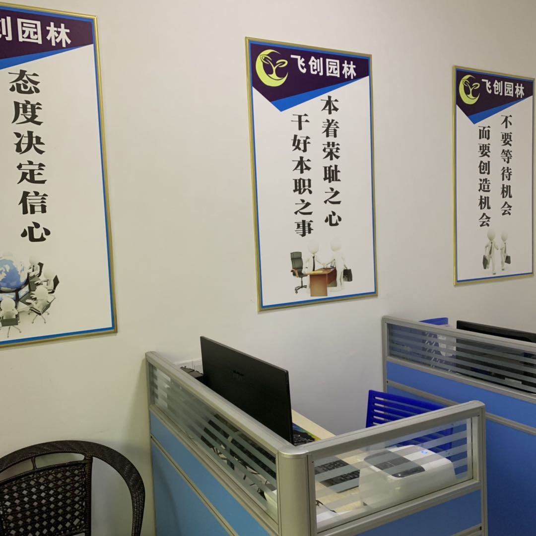 沭陽縣飛創園林綠化園藝場