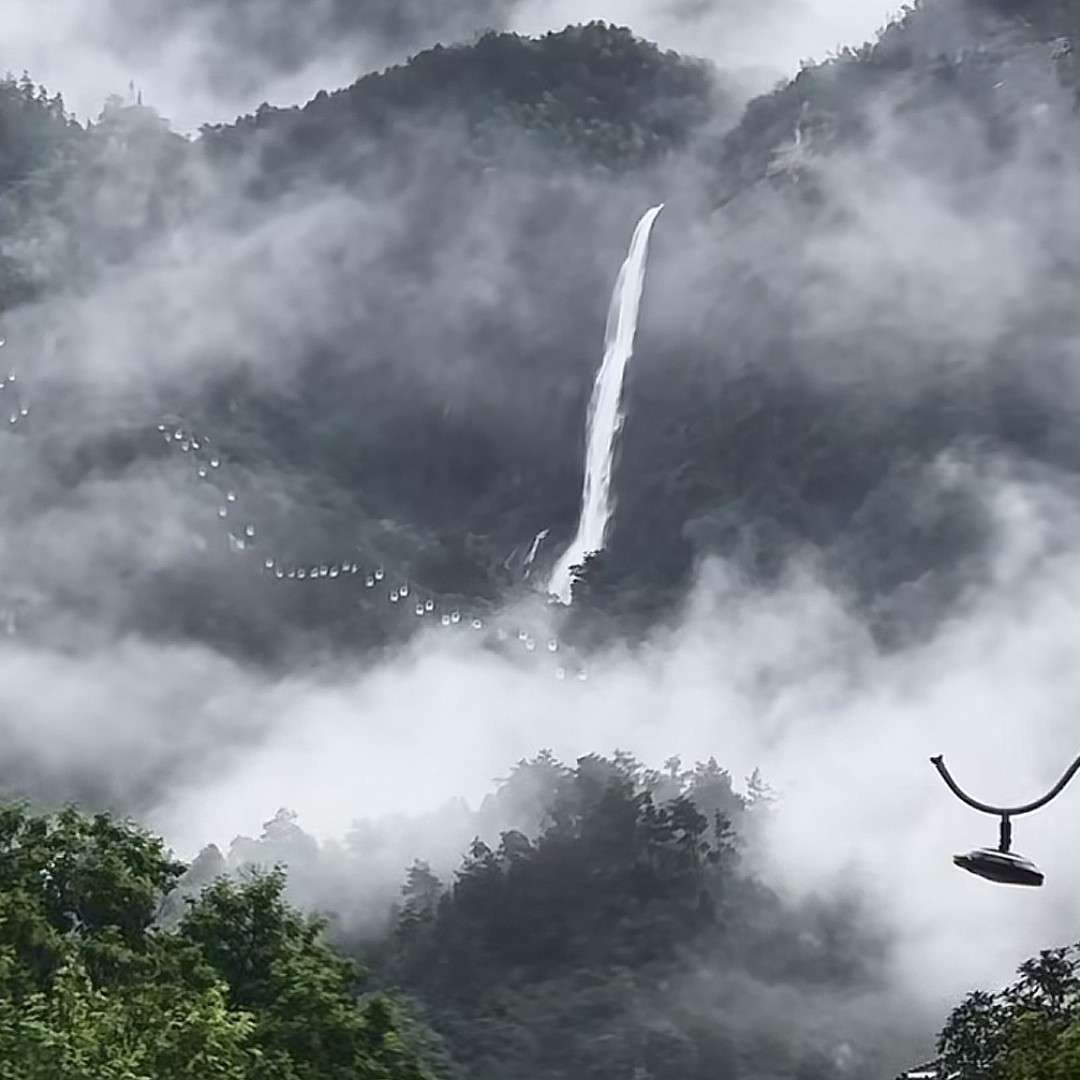 观山阁岳苗木部