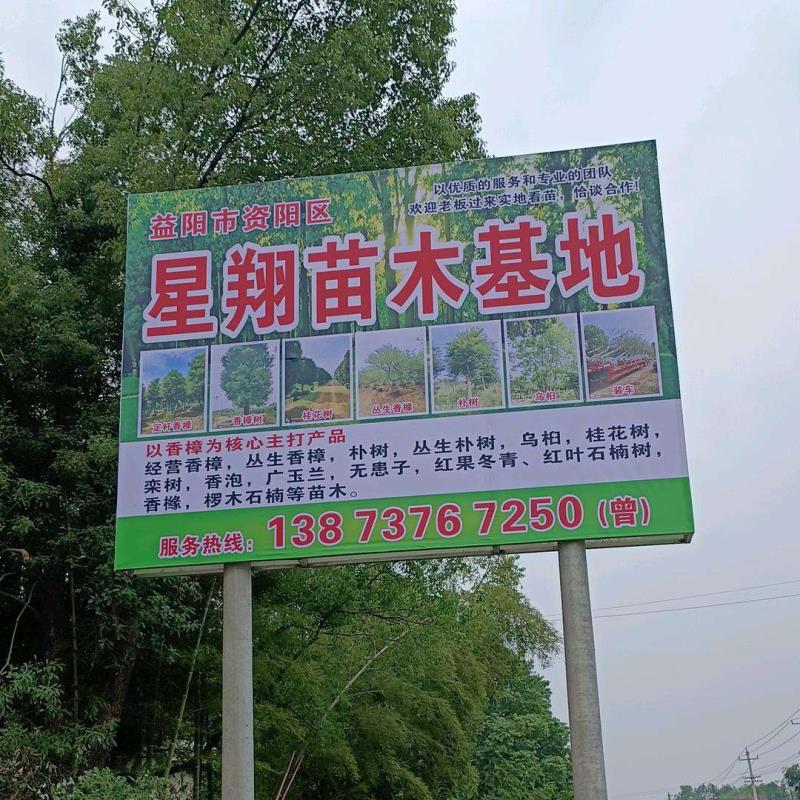 益陽市星翔園林基地