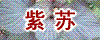 鿴ͼ