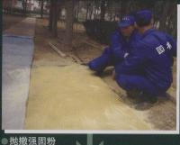 鿴ͼ