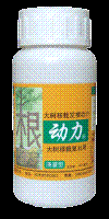 鿴ͼ