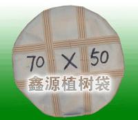 鿴ͼ