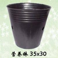 鿴ͼ