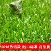 鿴ͼ