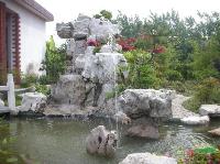 鿴ͼ