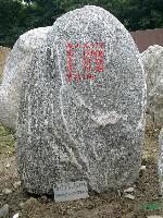 鿴ͼ