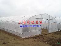鿴ͼ