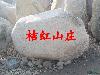 鿴ͼ