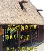 鿴ͼ