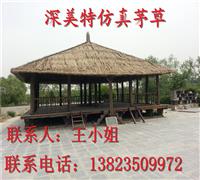 鿴ͼ