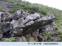 鿴ͼ
