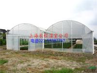 鿴ͼ