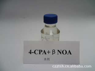 4-CPA+BNOA  ˮ,ֲڼ