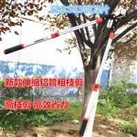 鿴ͼ