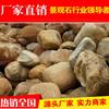 鿴ͼ