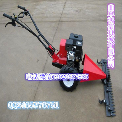 ľ«έɵ޼ Ͷʽݻ ԰ִݻ
