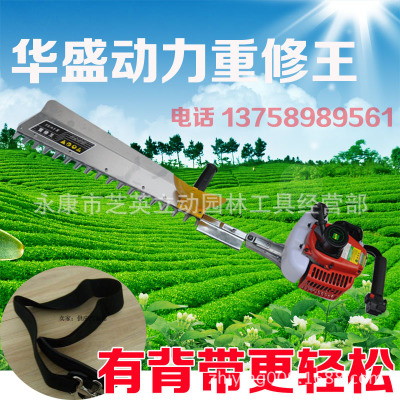 ˫/ʻҶ޼ʢ֦