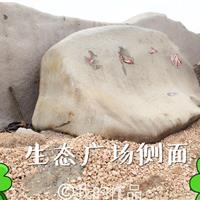 鿴ͼ