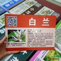 鿴ͼ