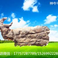 鿴ͼ